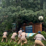 Brimob Batalyon C Pelopor Evakuasi Pohon Tumbang Yang Melintang di Jalan
