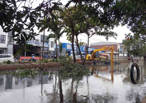 Pendangkalan SS Rawa Baru Picu Banjir di Bekasi Timur, DBMSDA Lakukan Normalisasi Darurat