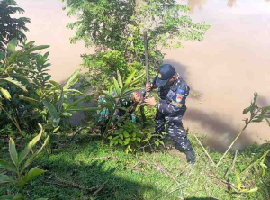 Sinergi TNI-Polri Tanam Mangrove Jaga Pesisir Bengkulu Tengah