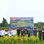 Kedelai Lanal Banjarmasin Tembus Produktivitas Tinggi