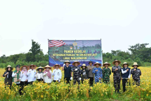 Kedelai Lanal Banjarmasin Tembus Produktivitas Tinggi