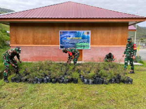 Kodim Puncak Jaya Siapkan 500 Bibit Cemara