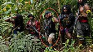 Koops TNI Habema Tindak Tokoh OPM Jeki Murib di Puncak, Operasi Diklaim Terukur