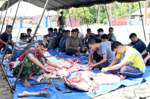 Lanud Sjamsudin Noor Gelar Kurban Idul Adha 2026, Perkuat Kepedulian dan Kebersamaan