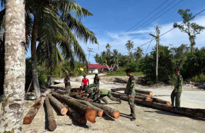 Satgas TNI Bangun Jembatan di Mentawai, Warga Gotong Royong Angkut Batang Kelapa