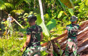 Satgas Karya Bakti TNI AD Mulai Bangun Rumah Layak Huni di Mentawai