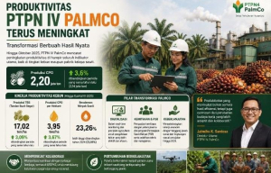 Transformasi PalmCo Dongkrak Produktivitas Sawit, Produksi CPO Tembus 2,20 Juta Ton