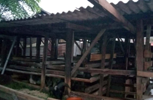 Peternak Setia Mekar Pertanyakan Transparansi Program Swasembada Pangan