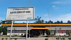 Kebun PTPN IV Cot Girek Dijarah, 2.400 Pekerja Kehilangan Penghasilan, Negara Rugi Rp62,6 Miliar