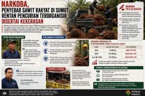 Narkoba Picu Pencurian Sawit Terorganisir di Sumut, Petani dan Perusahaan Terdampak