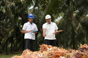 PalmCo Percepat Sertifikasi 5.120 SDM, Perkuat Daya Saing Industri Sawit Nasional
