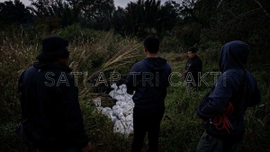 Satgas Gabungan Gagalkan Penyelundupan 1,04 Ton Bijih Timah Ilegal