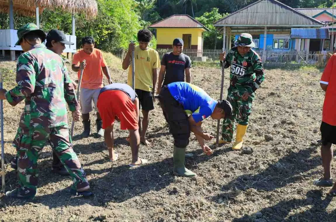 TMMD Ke-129 Perkuat Ketahanan Pangan Warga Halmahera Timur 1 TMMD Ke-129 Perkuat Ketahanan Pangan Warga Halmahera Timur