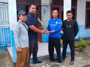 PTPN IV PalmCo Salurkan 1.500 Bibit Nanas untuk Warga Dua Desa Jambi