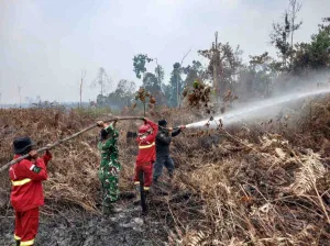 TNI Siagakan 73.766 Personel Tangani Karhutla di Sejumlah Wilayah