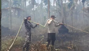 Tiga Hari Berjibaku, Tim Gabungan Padamkan Karhutla di Reteh