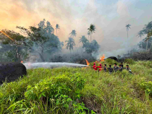 Lanal Ranai Padamkan Karhutla 30 Hektare di Natuna