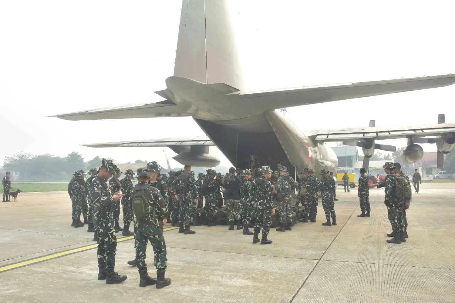 TNI Kerahkan Tiga Batalyon Perkuat Penanganan Karhutla di Kalbar 1 TNI Kerahkan Tiga Batalyon Perkuat Penanganan Karhutla di Kalbar