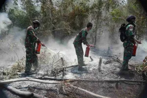 TNI Kerahkan Tim Alfa Padamkan Bara Karhutla Way Kambas