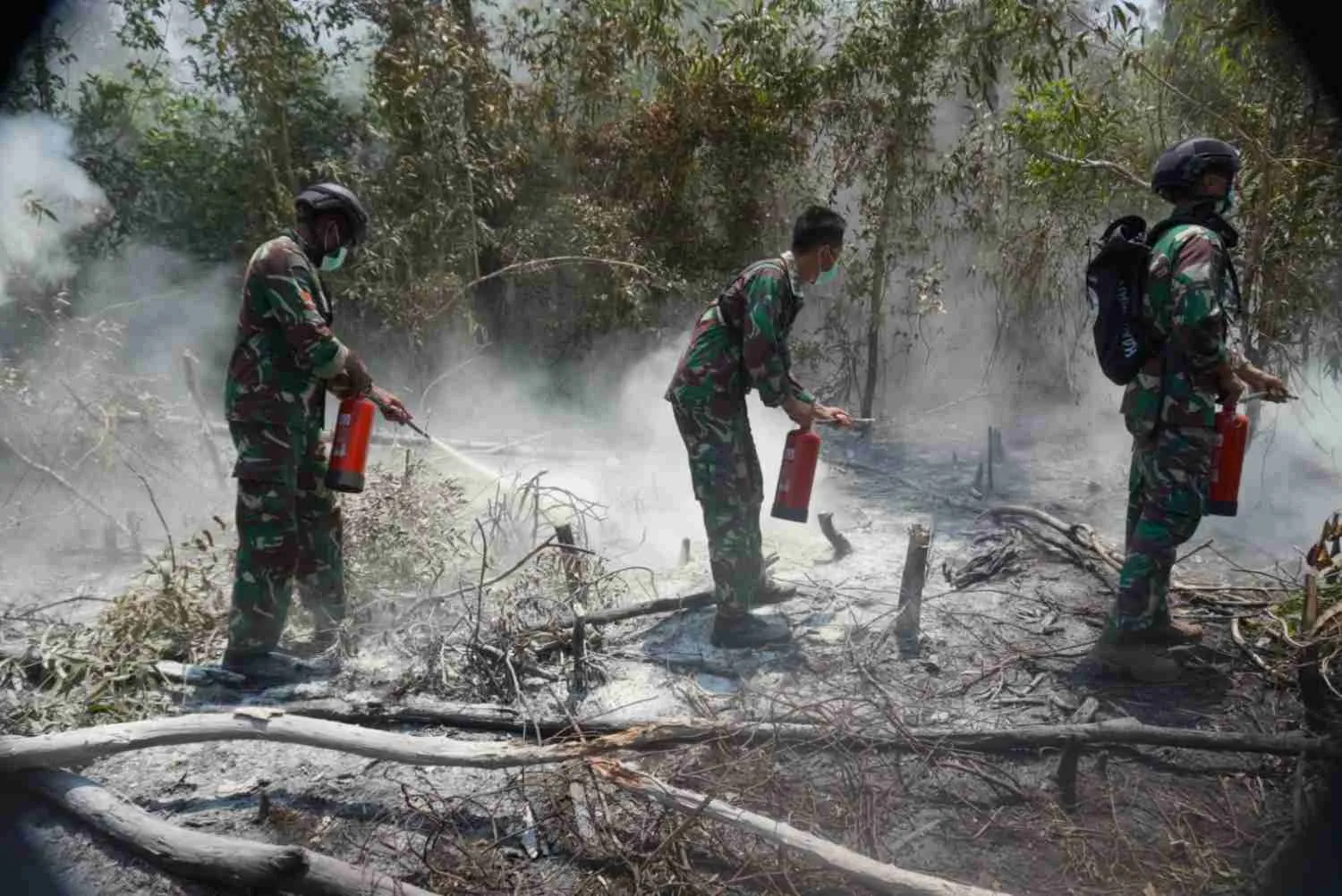 TNI Kerahkan Tim Alfa Padamkan Bara Karhutla Way Kambas