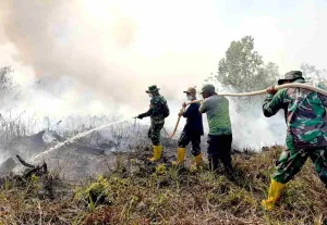 Satgas Lanud Sjamsudin Noor Sekat dan Padamkan Titik Api Karhutla