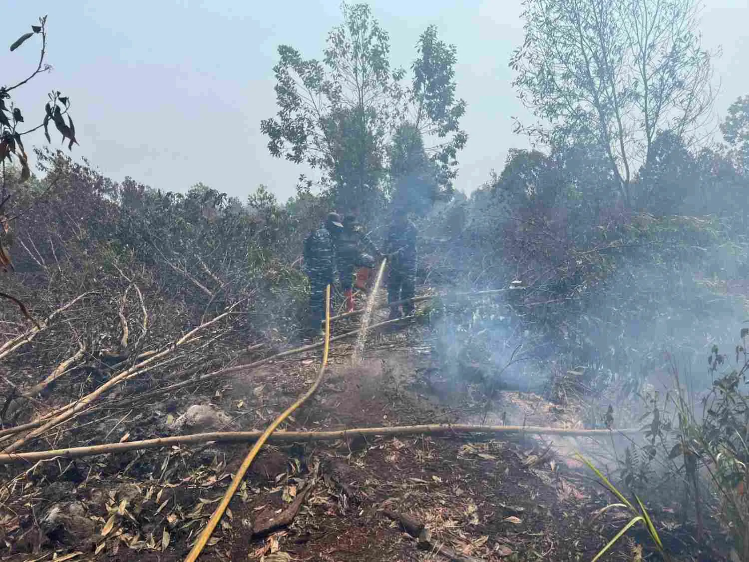 Dankodaeral XIII Tinjau Karhutla di Lahan Gambut Kabupaten Banjar