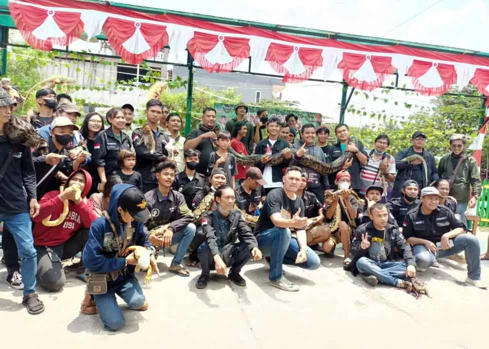 Tak Semua Ular Berbisa, Patriot Fauna Bekasi Tingkatkan Edukasi Masyarakat