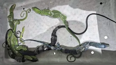 WN Korea Selatan Gagal Terbang, Delapan Biawak Dilindungi Ditemukan dalam Koper 1 WN Korea Selatan Gagal Terbang, Delapan Biawak Dilindungi Ditemukan dalam Koper