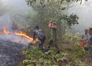 TNI AL Padamkan Karhutla di Pulau Penyengat Cegah Api Meluas