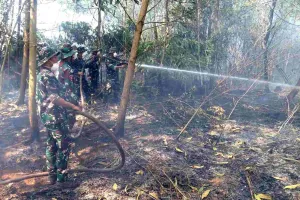 Satgas Lanud Sjamsudin Noor Perangi Bara Karhutla di Lahan Gambut