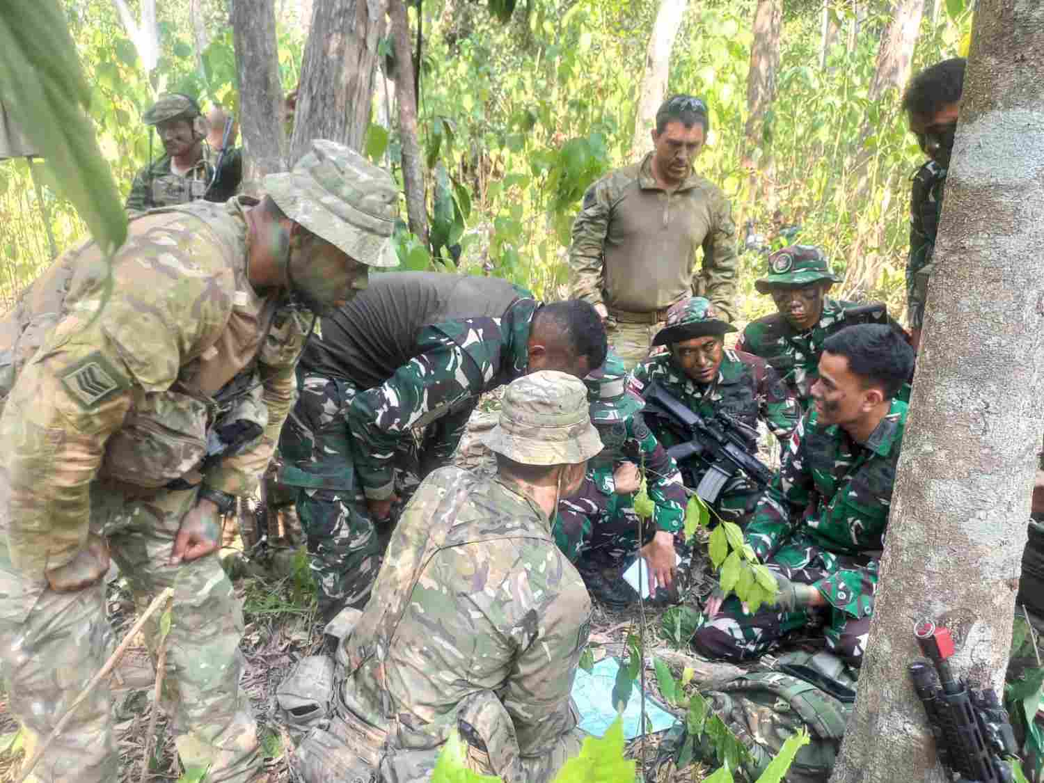 Pasukan Airborne SGS 2026 Uji Manuver Gabungan di Medan Hutan