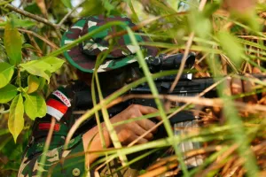 Jungle FTX SGS 2026 Uji Kemampuan Tempur 347 Prajurit Multinasional