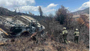 Kekerasan OPM Tewaskan Sopir Angkutan, TNI Kejar Pelaku