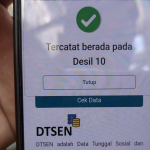 DTSEN: Apa Itu, Cara Cek Data, Desil dan Cara Memperbaruinya