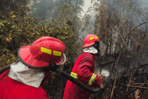 Satgas Lanud Sjamsudin Noor Buru Bara Tersembunyi di Lahan Gambut Banjarbaru