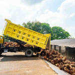 PTPN IV PalmCo Catat Pertumbuhan Premium Produk Bersertifikat 47,87 Persen