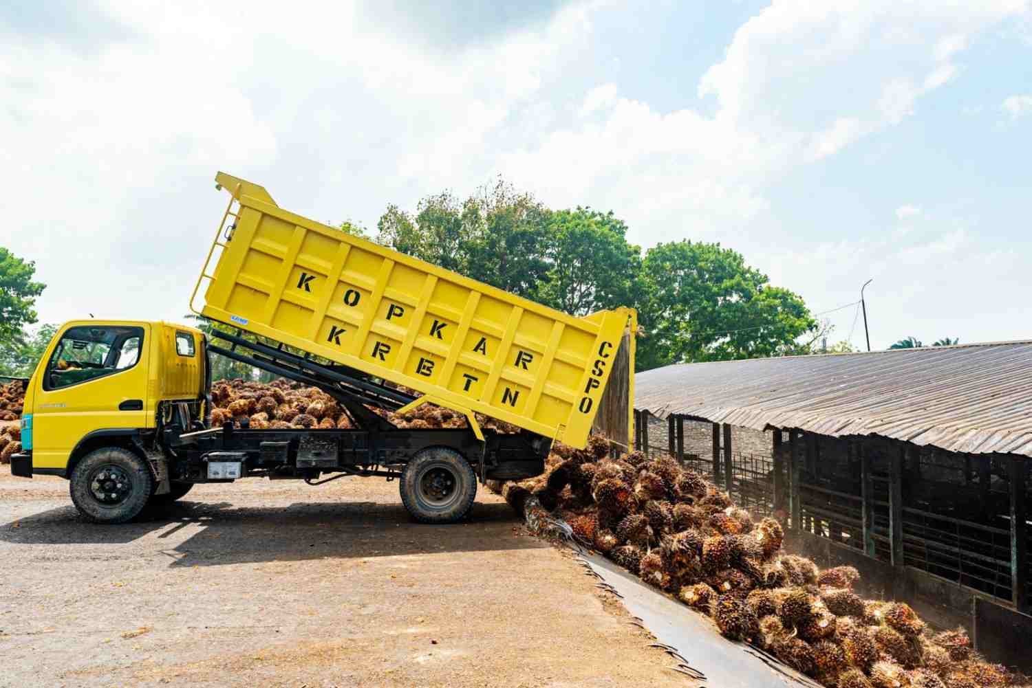 PTPN IV PalmCo Catat Pertumbuhan Premium Produk Bersertifikat 47,87 Persen